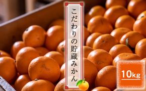 192-2626　＜品種厳選＞こだわりの貯蔵みかん　10キロ＜2024年12月20日出荷開始～2025年2月28日出荷終了＞【 みかん 神奈川県 小田原市 】