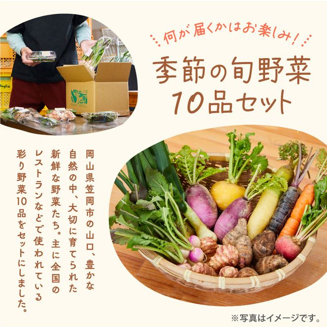 A-229 季節の旬野菜 10品 おまかせセット（農薬・化学肥料不使用）《45日以内に出荷予定(土日祝除く)》