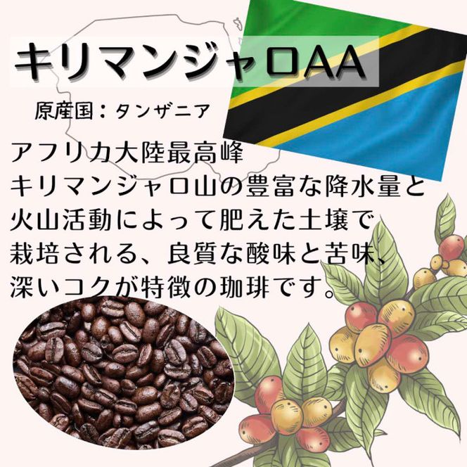 ZA-136 【定期便】自家焙煎 人気珈琲豆 3種セット（6か月）（豆のまま）