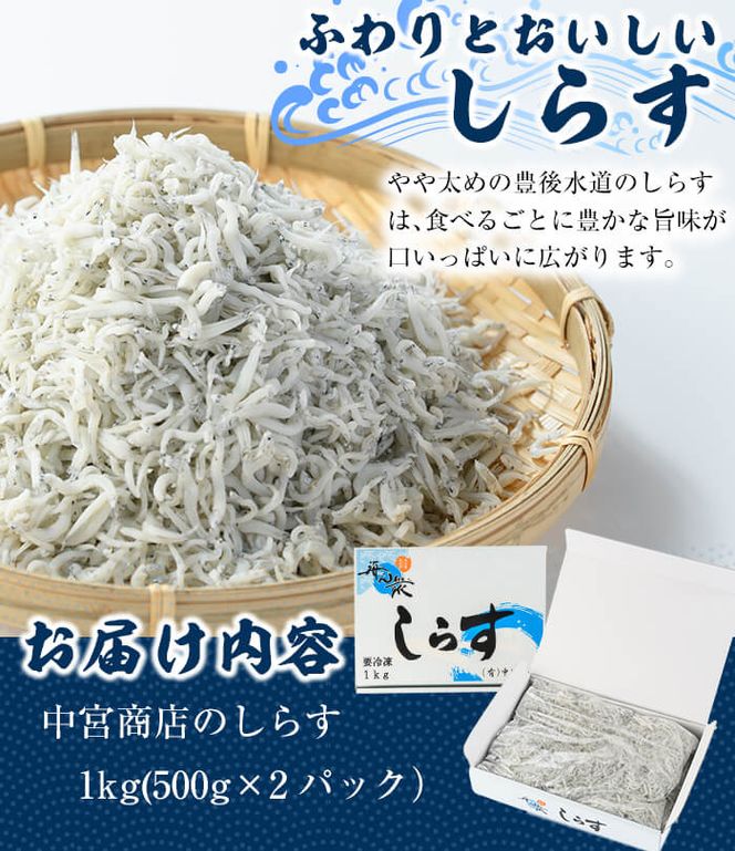 豊後水道 米水津産 しらす (計1kg・500g×2P) 魚 小魚 魚介類 シラス おつまみ カルシウム 大分県 佐伯市 【FA01】【(有)中宮商店】