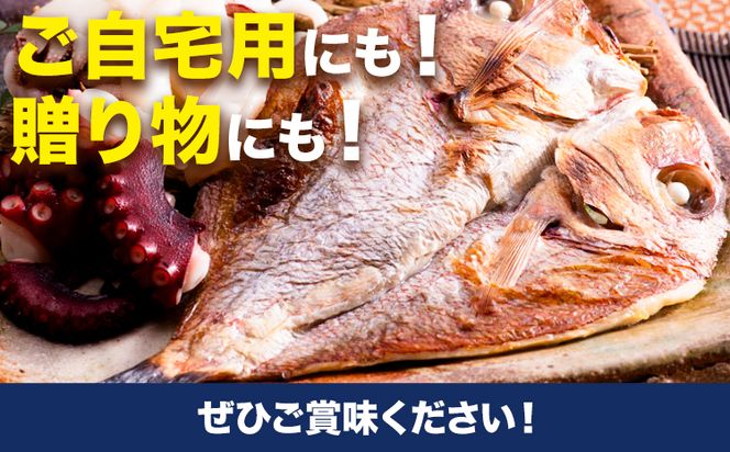 B-106 魚々干 今日の漁りセット Cセット 灰干し 鯛 イカ タコ 特定非営利活動法人 かさおか島づくり海社《45日以内に出荷予定(土日祝除く)》岡山県 笠岡市 魚 さかな 干し おまかせ 詰め合わせ 天然魚介 魚介---B-106---