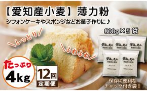 【小麦粉】碧海の恵み 薄力粉 国産 愛知県産 800g×5袋(計4kg) 定期便12回 スポンジ シフォンケーキ 菓子用 小麦 お好み焼き 天ぷら たこ焼き 保存に便利 チャック付き H008-255