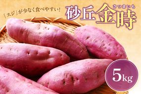 【先行予約／数量限定100】京丹後産 土付き 砂丘金時（さつまいも） 5kg（2024年10月中旬～発送）　HF00006