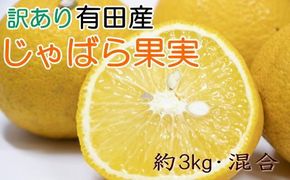 【訳あり品】有田産のじゃばら果実約3kg　BZ109