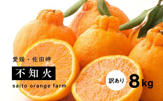 【先行予約】Saito Orange Farmの家庭用不知火8kg ｜ 柑橘 みかん ミカン フルーツ 果物 でこぽん デコポンと同品種 愛媛　※離島への配送不可　※2025年3月中旬頃より順次発送予定