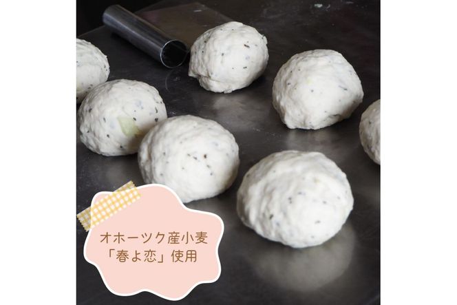 北見ストーンベーグル 8個 ( カーリング パン ベーグル おやつ 朝食 手作り )【049-0007】