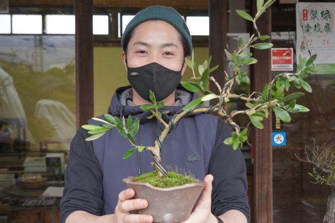 オリーブの盆栽教室 体験チケット [秋山園 山梨県 韮崎市 20742994] チケット 体験 手作り 盆栽 オリーブ 観葉植物 インテリア 癒やし 緑