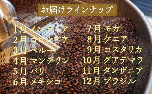 S100-01 【定期便】カフェ・アダチ ストレートコーヒー（400g×12ヶ月）
