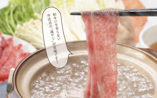 A-10 瀬戸の姫（スライス）《45日以内に出荷予定(土日祝除く)》