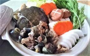 薬膳すっぽん鍋セット 無添加 鍋 冬 コラーゲン エイジングケア スープ 燕の巣 にんじん 金針菜 百合 ナツメ クコの実　H080-032