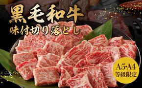 G1428 【特別寄附金額】黒毛和牛A5/A4等級 切り落とし 味付き 焼肉セット 600g（サーロイン 300g／リブロース 300g） ギフト プレゼント に最適