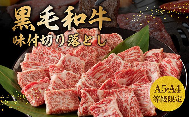 G3633 黒毛和牛A5/A4等級 切り落とし 味付き 焼肉セット 600g（サーロイン 300g／リブロース 300g） ギフト プレゼント に最適