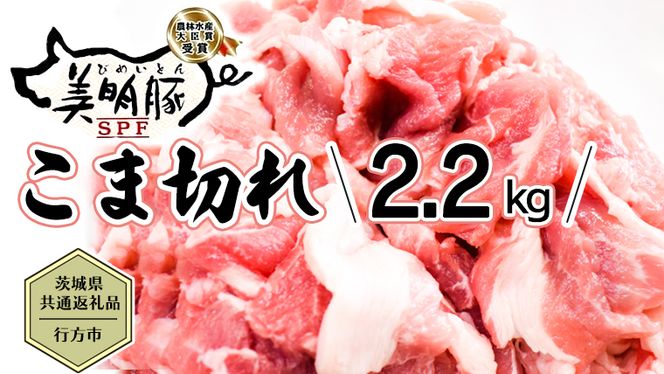 y錧㒬zy錧ʕԗi^ssz  ܐ؂ 2.2kg ؓ  SPF uh ܐ؂ ϕ  [CF013ya]
