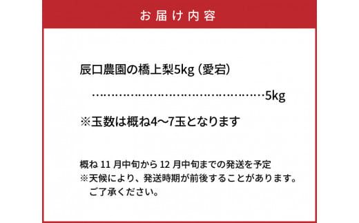【先行予約】令和8年発送 /辰口農園の橋上梨約5kg(品種:愛宕)_1303R