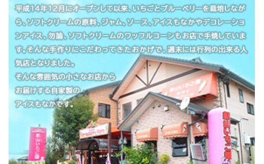 ＜アイスもなか 5種10個セット＞2か月以内に順次出荷【c592_sn_x3】 アイス 自家製 セット