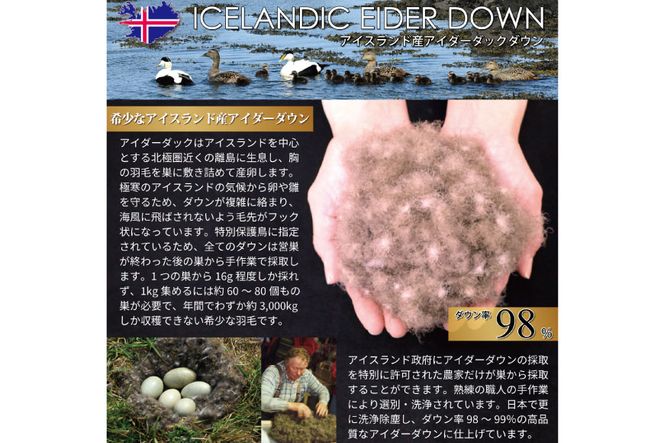 【冬用】アイダーダウン 最高級 軽量 羽毛布団 掛け布団 セミダブル 冬 掛布団 本掛け アイスランド産 アイダーダックダウン98％ 1.2kg ジャカードサテン アイボリー 日本製 綿100％ ジャガード 布団 ふとん 羽毛ふとん 羽毛 寝具 掛布団 ダウン ダウンケット ケース付き [川村羽毛 山梨県 韮崎市 20742565]