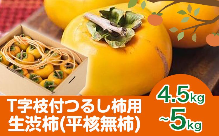 [2026年先行予約]T字枝付つるし柿用生渋柿 4.5〜5kg ふるさと農園[10月中旬-11月上旬頃出荷予定]---wsh_fst4_p1011_23_20000_5kg---