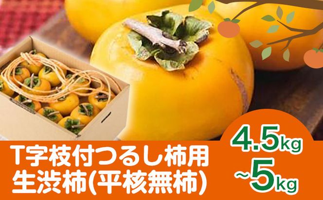 【2026年先行予約】T字枝付つるし柿用生渋柿 4.5～5kg ふるさと農園《10月中旬-11月上旬頃出荷予定》---wsh_fst4_p1011_23_20000_5kg---