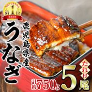 【0294315a】東串良町のうなぎ蒲焼(無頭)(5尾・計約750g・タレ、山椒付)うなぎ 高級 ウナギ 鰻 国産 蒲焼 蒲焼き たれ 鹿児島 ふるさと 人気【アクアおおすみ】