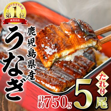 【0294315a】東串良町のうなぎ蒲焼(無頭)(5尾・計約750g・タレ、山椒付)うなぎ 高級 ウナギ 鰻 国産 蒲焼 蒲焼き たれ 鹿児島 ふるさと 人気【アクアおおすみ】