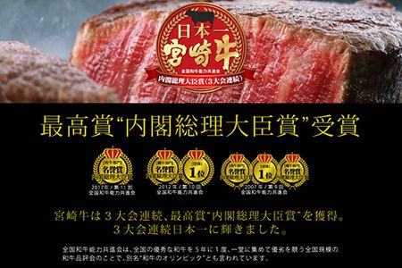 ＜宮崎牛赤身焼肉600g(300g×2)＞3か月以内に順次出荷【c717_tf_x2】