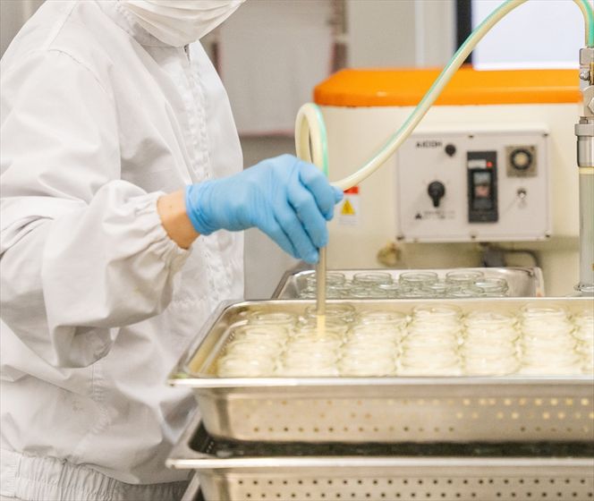 169-13-004　C-33 ひたちの和醸プリン8個セット【 茨城県 日立市 】