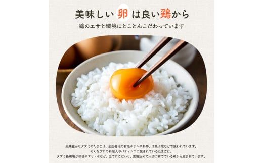 008AB01N.タズミの卵Ｍサイズ（30個）