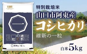 D407 維新の一粒5kg（白米）