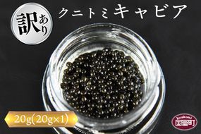 【訳あり】＜クニトミキャビア 20g(20g×1)＞翌月末迄に順次出荷【a0196_mc】