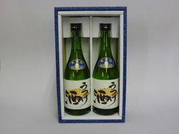 信長生誕 勝幡城 うつけ酒のみくらべセット 【渡辺酒造株式会社】 清酒 日本酒 地酒[AEAB001]