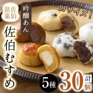 ひとくちまんじゅう 佐伯むすめ (計30個・5種×6個) 饅頭 饅頭 ひとくち 一口 薄皮 みそ 黒糖 抹茶 チーズ お菓子 スイーツ おやつ 焼き菓子 和菓子 詰め合わせ 個装 常温 大分県 佐伯市【AG96】【 (株)お菓子のウメダ】