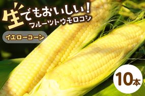 【先行予約】 生食も！高糖度！もぎたて！ フルーツトウモロコシ「イエローコーン」（2025年6月下旬～発送）　DE00126