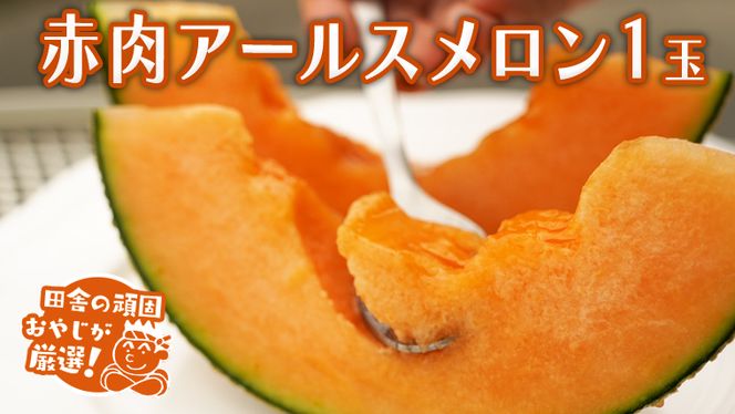 赤肉アールスメロン 1個 田舎の頑固おやじが厳選！ メロン アールスメロン 赤肉  ギフト 高糖度 甘い 美味しいフルーツ [BI277-NT]