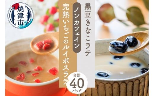 a15-540　FORIVORA ラテシリーズ ノンカフェインセット 40P