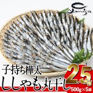 子持ち樺太ししゃも丸干し (計2.5kg・500g×5袋) 干物 ししゃも シシャモ 丸干し 魚 海鮮 冷凍 大分県 佐伯市【AP83】【(株)ヤマジン】