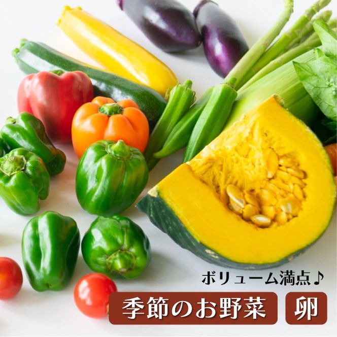 AA006 ＜3か月定期便＞旬の採れたてぜいたく野菜セット（卵付き）4人用　定期便 3ヶ月 野菜 やさい セット 旬 採れたて 卵 4人用 4人前 贅沢 ぜいたく 10個入り1パック