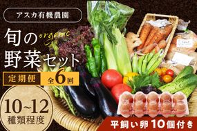 【6回定期便】京の旬野菜セットL平飼い卵付き（栽培期間中農薬・化学肥料不使用）<アスカ有機農園>　AY00010