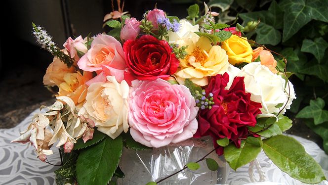 y錧}szoƃn[ũv`AWgioƃn[uj[BN005ci]