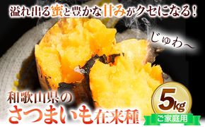 和歌山県の さつまいも 訳ありご家庭用 5kg 在来種《12月中旬‐4月下旬頃出荷》和歌山県 日高川町 みはらファーム さつま芋 薩摩芋---wshg_mhr10_k124_23_9000_5kg---