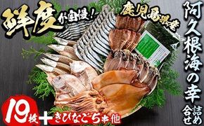 鹿児島県産！干物詰め合わせ＜8種＞国産 九州産 鹿児島産 干物 ひもの 乾物　鯛 タイ 鯵 アジ かます いか きびなご ウルメ あおさのり セット 詰合せ【又間水産】a-36-1-z