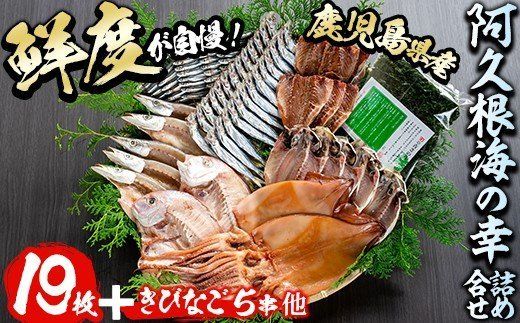 鹿児島県産！干物詰め合わせ＜8種＞国産 九州産 鹿児島産 干物 ひもの 乾物　鯛 タイ 鯵 アジ かます いか きびなご ウルメ あおさのり セット 詰合せ【又間水産】a-36-1