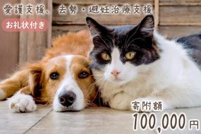 愛護支援、去勢・避妊治療支援 10万円 [Animal Care Salvation 福岡県 筑紫野市 21761395] 動物 ペット 愛護 TNR 保護 動物福祉 保護施設 里親 犬 猫 イヌ ネコ いぬ ねこ 動物愛護 保護活動 支援