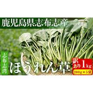 【数量限定・訳あり】志布志湾ほうれん草(200g×5袋 合計1kg) p7-034