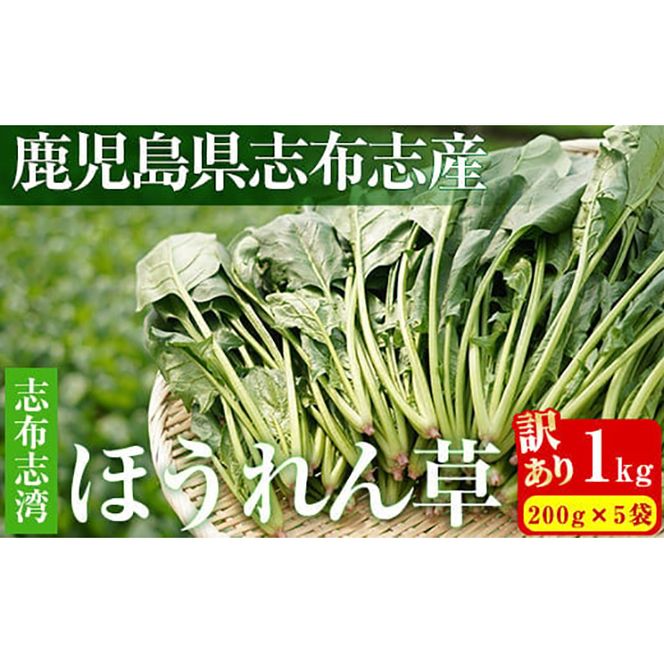 yuzuszyʌE󂠂zuzupق(200g×5 v1kg) p7-034