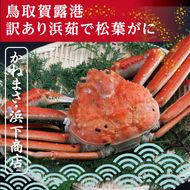 0819 鳥取賀露港 訳あり浜茹で松葉がに 大 1枚(かねまさ・浜下商店)