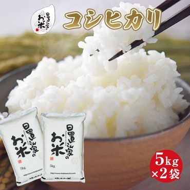日置さん家のお米「コシヒカリ」5kg×2袋【玄米・2024年産】
