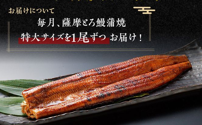 【全12回定期便】薩摩大とろ鰻蒲焼特大サイズ一尾　K190-T04