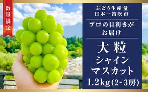 【2025年発送】笛吹市産シャインマスカット 約1.2kg 2～3房【クール便発送】 103-001