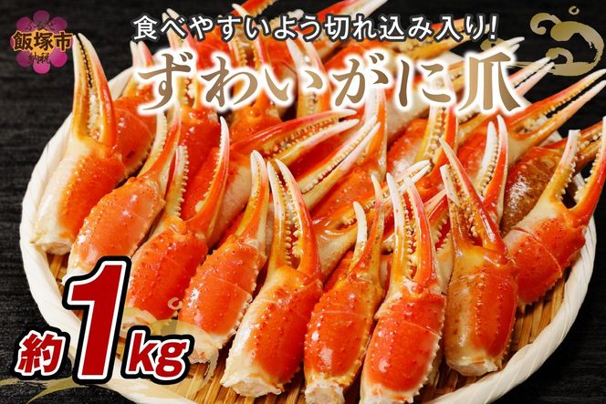 yђˎszyB3-060z킢ɒ(1kg)