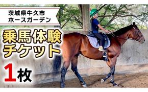 乗馬体験１回コース 乗馬 レッスン 見学 初心者 日帰り 体験 馬 チケット[CJ001us]